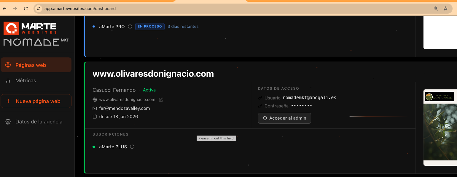 Amarte Websites agency panel showing access credentials