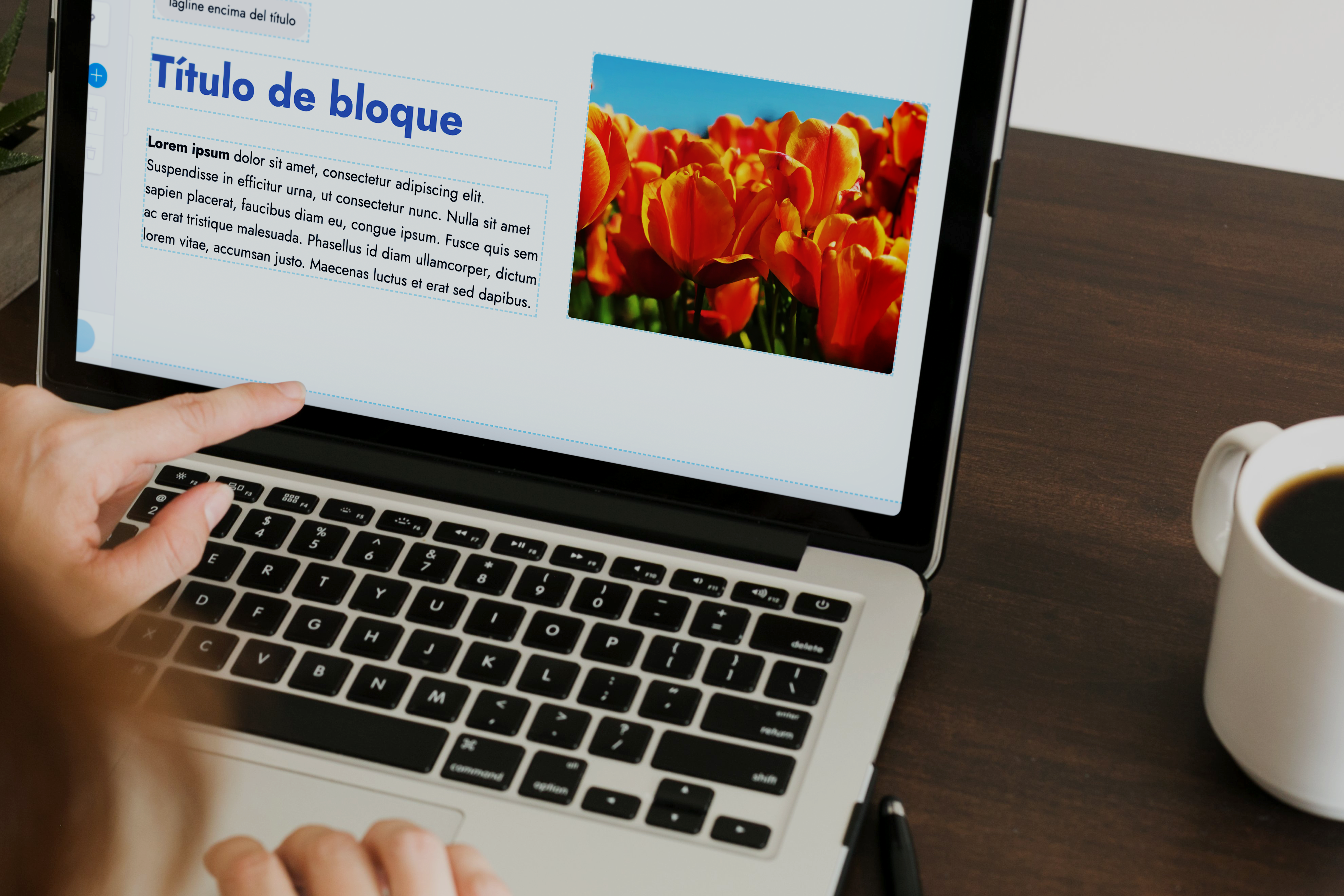 marte cms editor